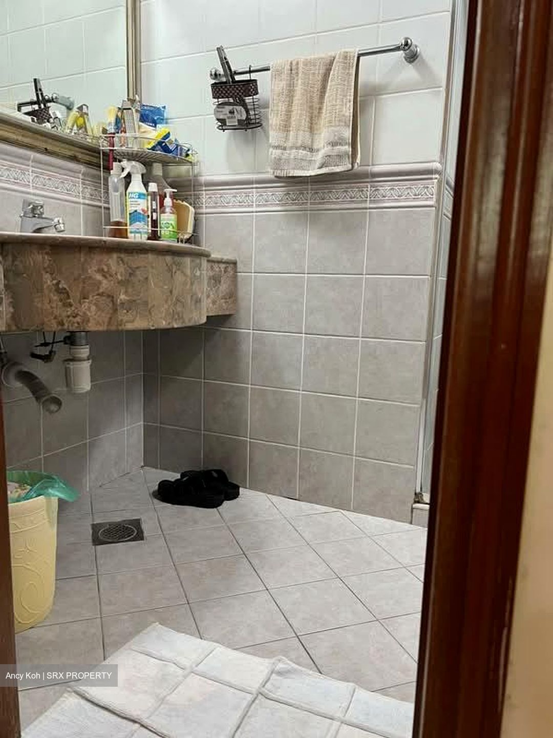 Parc Palais (D21), Condominium #546307351